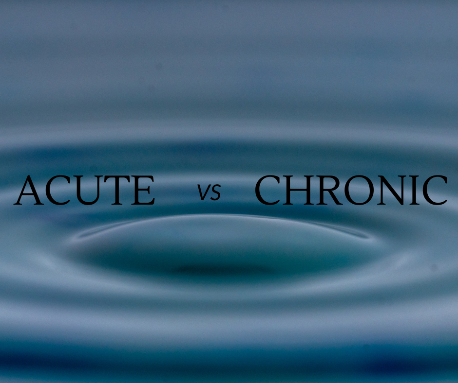 Acute vs Chronic Illness